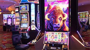 88bet cassino